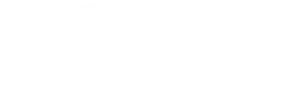 Ford Logo