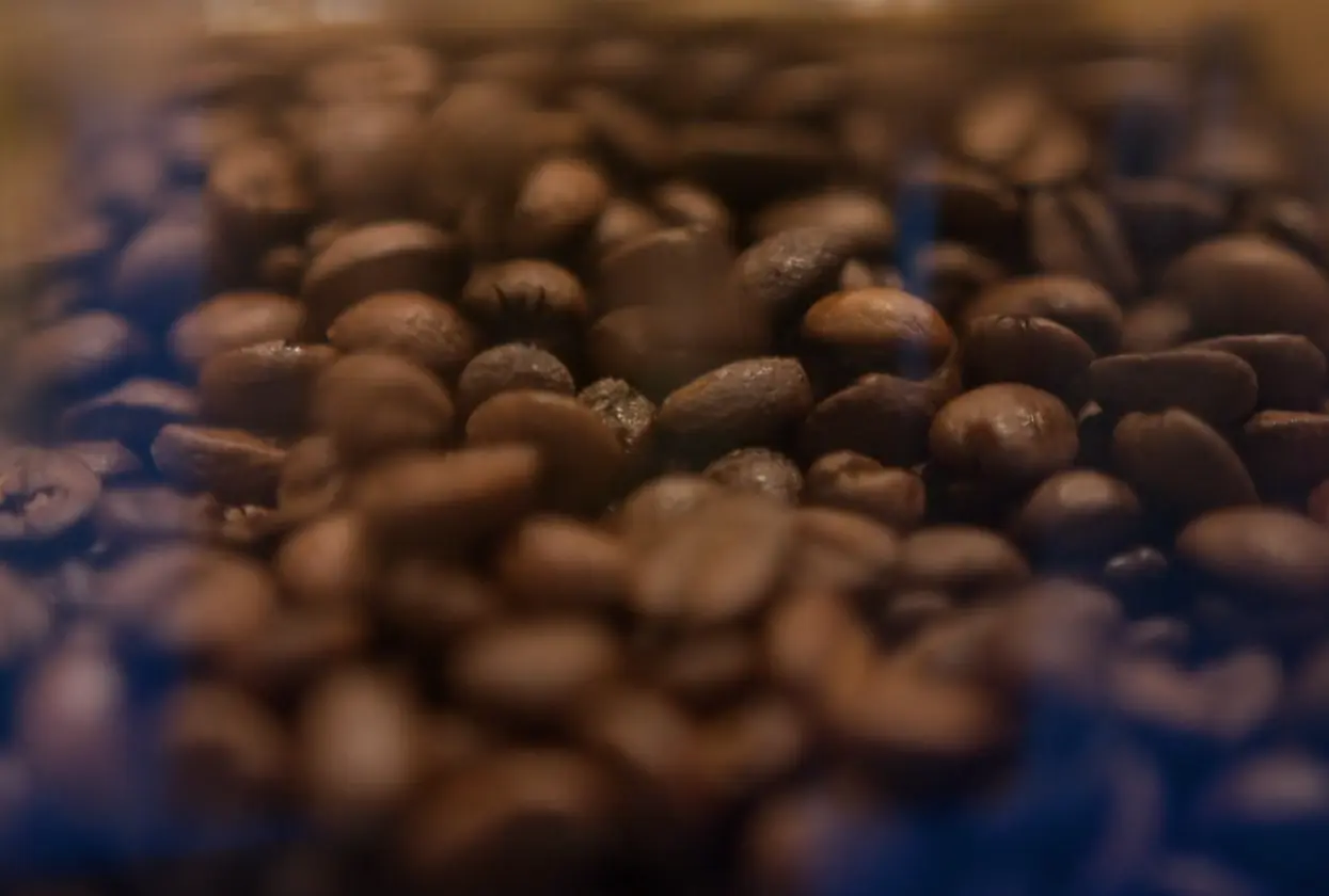 Speciality coffee beans and high-end espresso equipment